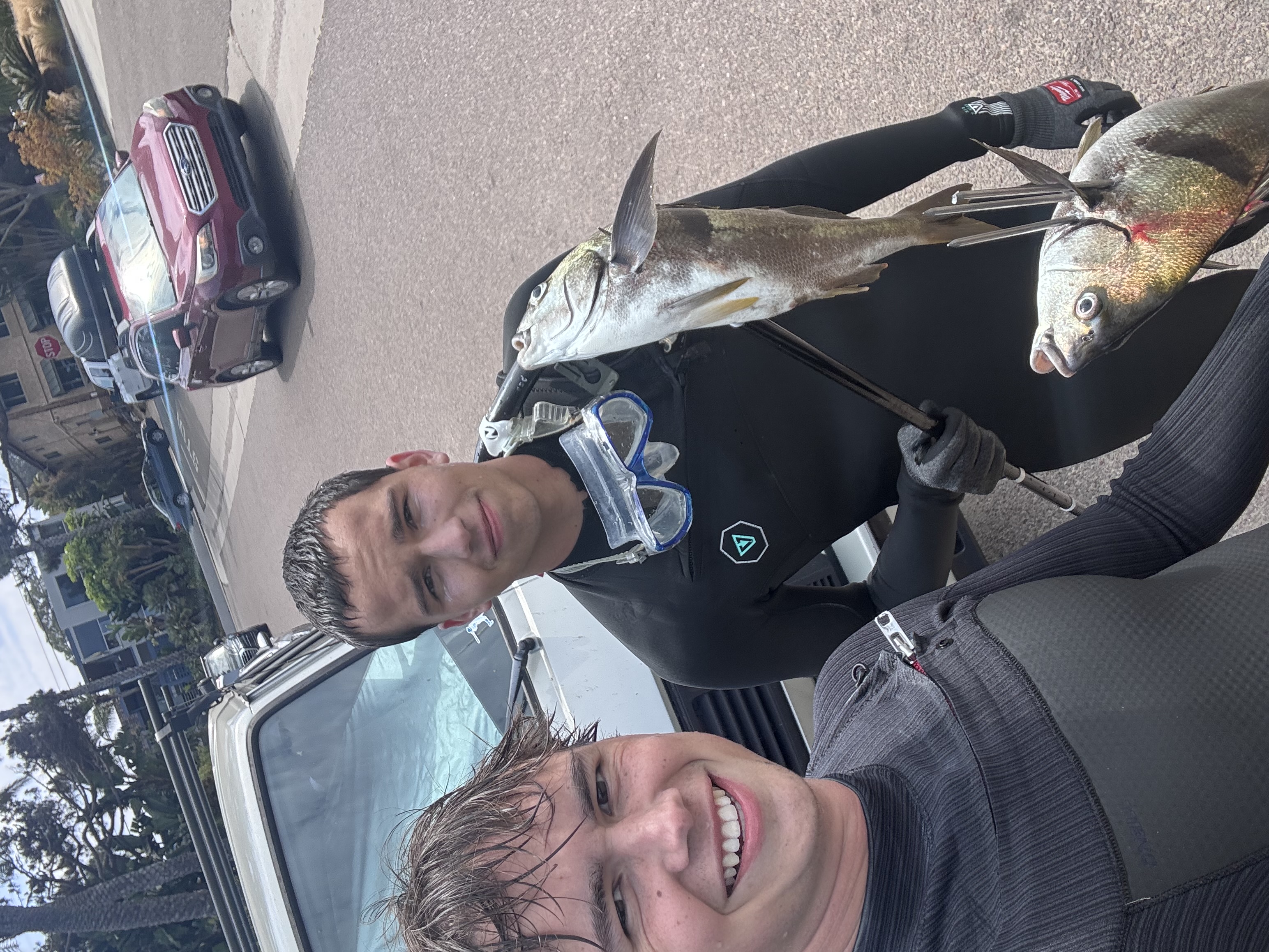 Vinyl records and turntable